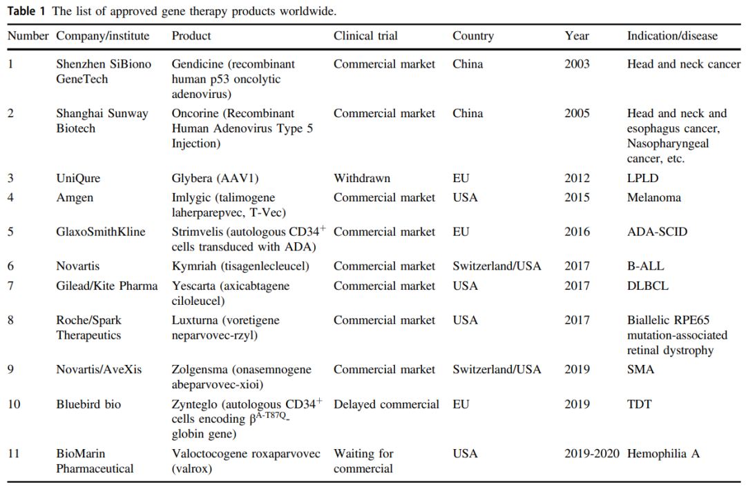 ​中国基因治疗发展概况！
