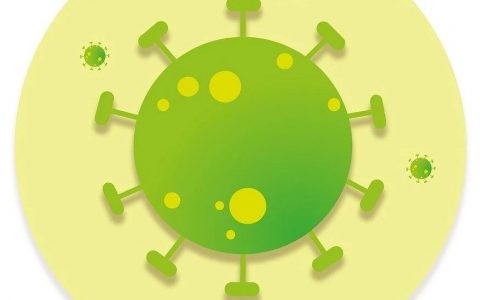Viruses：揭开SARS-CoV-2刺突蛋白突变的神秘面纱