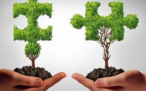 再次发挥优势？索元生物引入灵北阿尔兹海默症III期临床失败产品全球权益