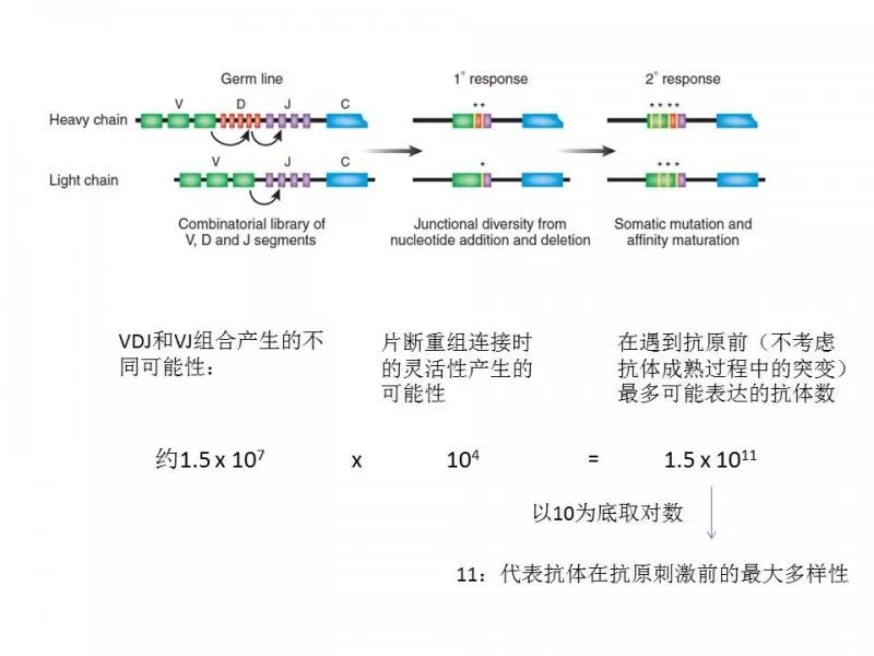 诺奖之后，重游《两只小鼠的江湖 （全集）》