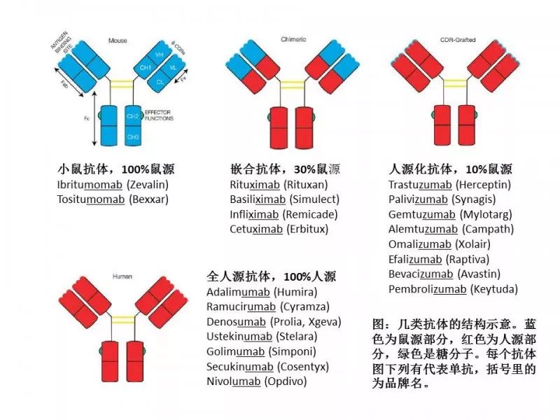 诺奖之后，重游《两只小鼠的江湖 （全集）》