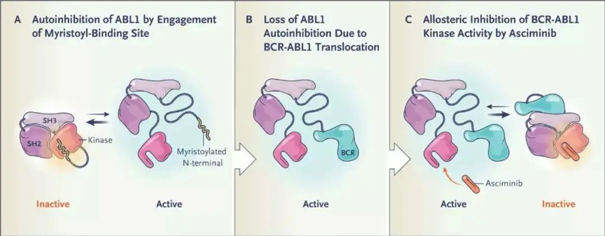 诺华第四代ABL1变构抑制剂在国内获批临床，或成下一个掘金之地