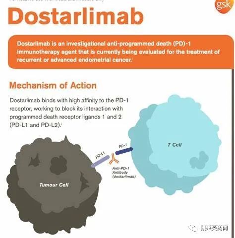 GSK：硬杠K药，dostarlimab获FDA批准成为第二个不限癌种的PD-1单抗