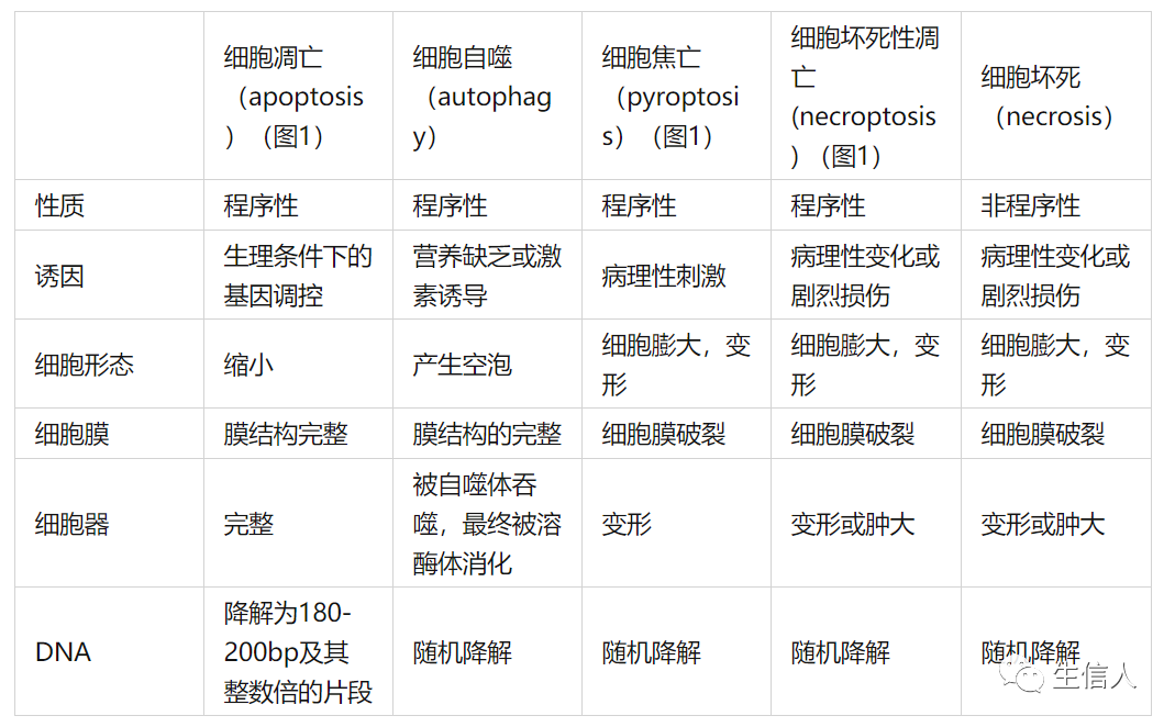 邵峰院士力挺的细胞焦亡，彻底火了