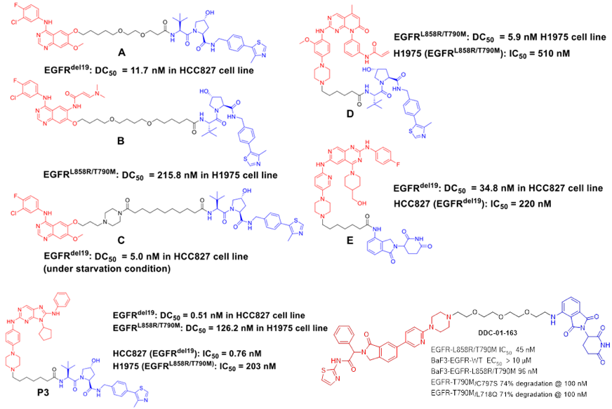 新药研发利器：PROTAC技术（最全解读）