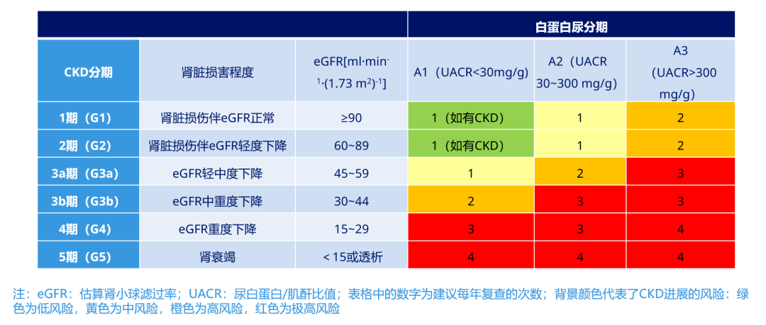 ​拜耳糖尿病肾病新药重磅出炉，国内即将正式获批！