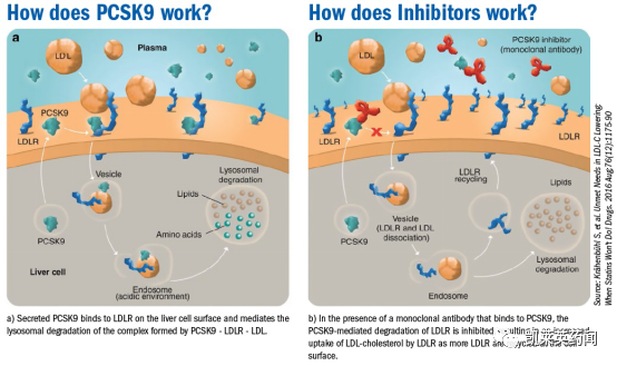 PCSK9抑制剂——降脂领域的新星！