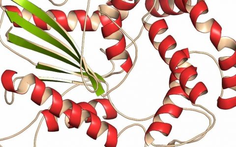 肽类药物百年发展之挑战