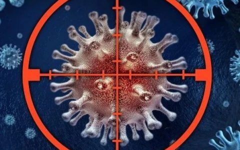 新发现：新冠病毒中和抗体需要Fc功能才能达到最佳疗效