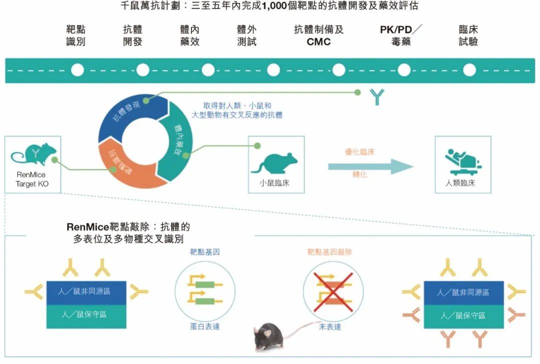 深度长文 | 中国新药觉醒年代的新物种，勇闯港交所的“小鼠第一股”