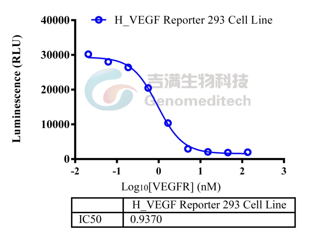 百亿抗VEGF药摩拳擦掌