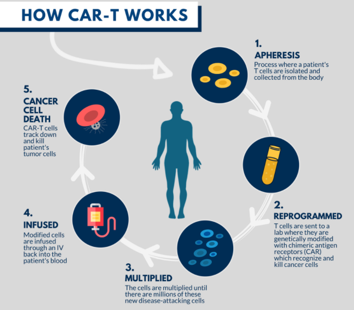 收藏 | CAR-T疗法的深入总结