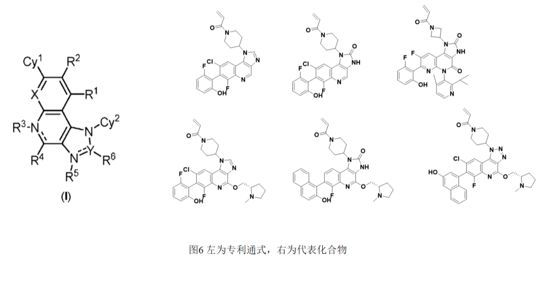 “窥探”各大名企的KRAS G12C专利：万变不离其宗，需谨防撞车