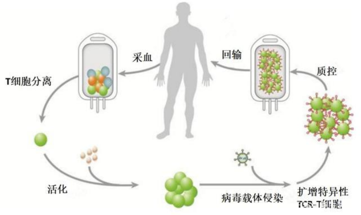 收藏 | CAR-T疗法的深入总结