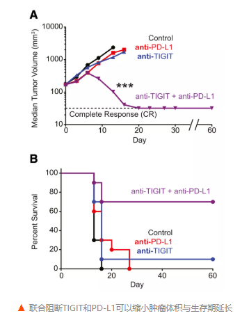 TIGIT利刃出鞘，免疫疗法耐药困局能否柳暗花明？