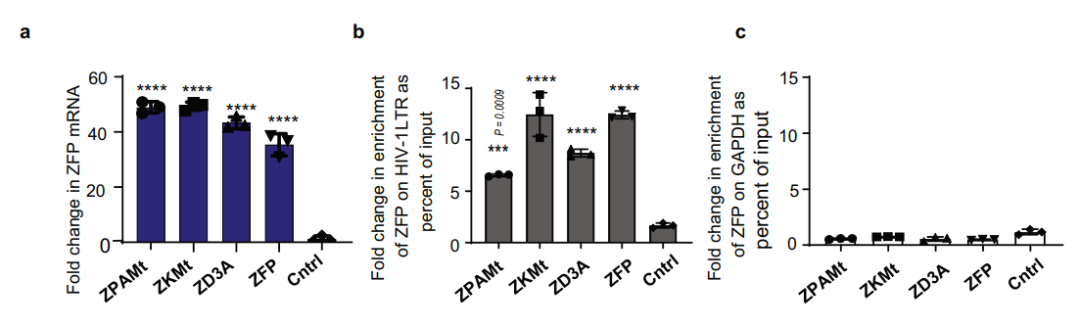 Nature子刊：外泌体递送mRNA，实现对艾滋病病毒的稳定抑制