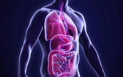 Nature重磅发现：吃下去的药被肠道细菌吸收了？可能会降低药效并改变肠道菌群