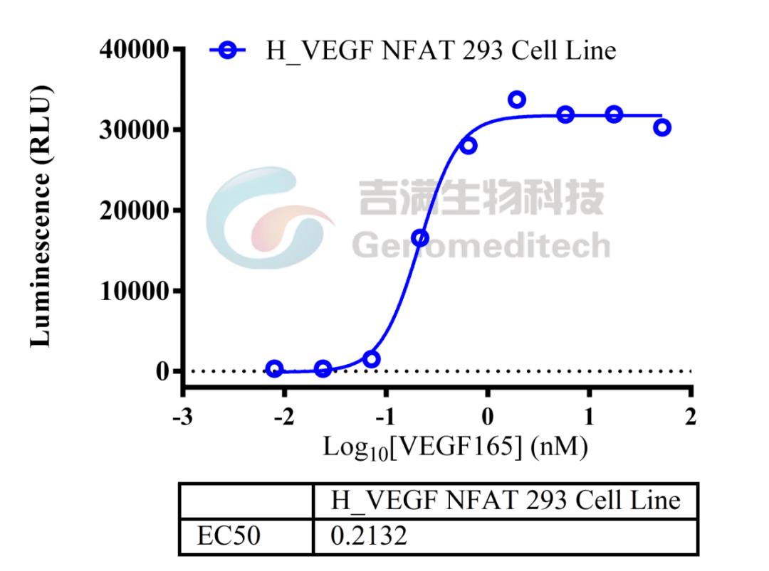 百亿抗VEGF药摩拳擦掌