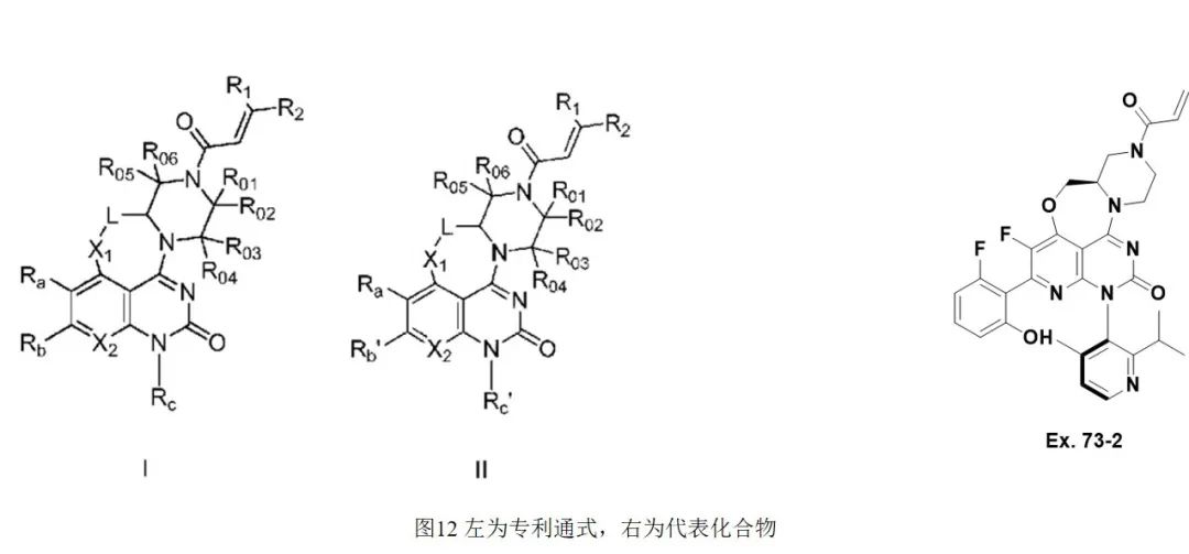 “窥探”各大名企的KRAS G12C专利：万变不离其宗，需谨防撞车