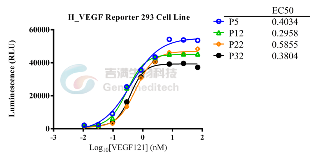 百亿抗VEGF药摩拳擦掌