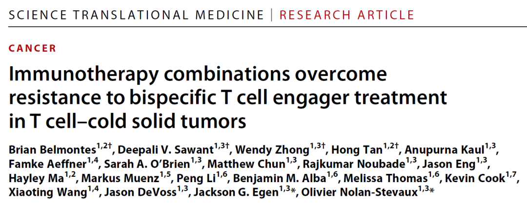 免疫疗法组合克服了冷肿瘤对双特异性T细胞衔接器治疗的抵抗