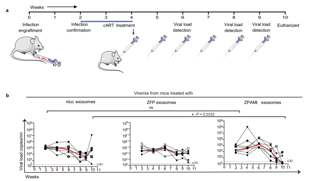 Nature子刊：外泌体递送mRNA，实现对艾滋病病毒的稳定抑制