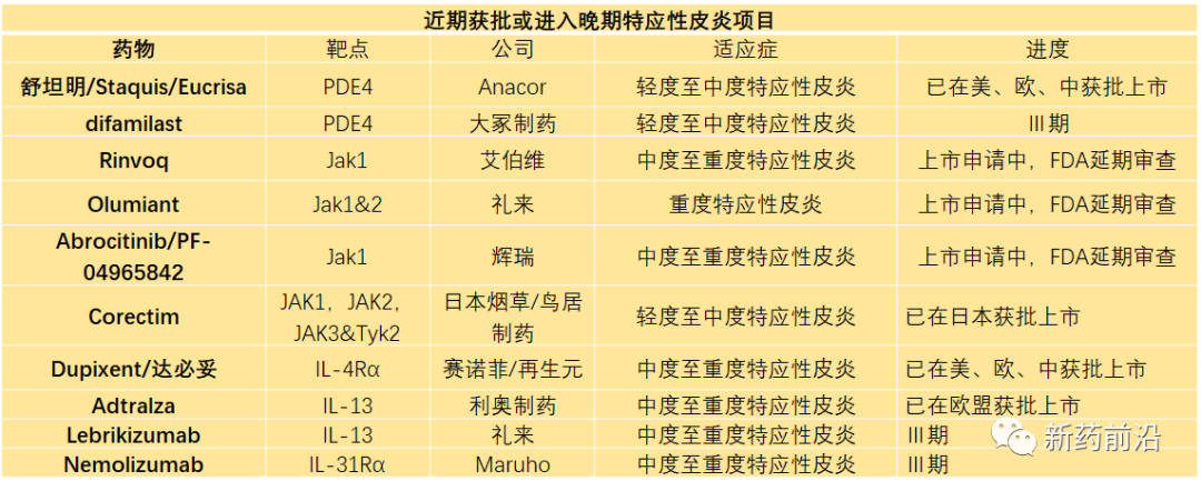 特应性皮炎领域潜藏重磅药浮现
