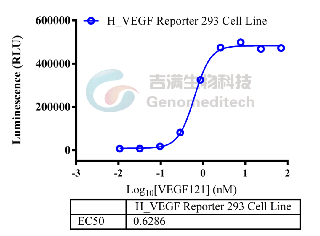 百亿抗VEGF药摩拳擦掌