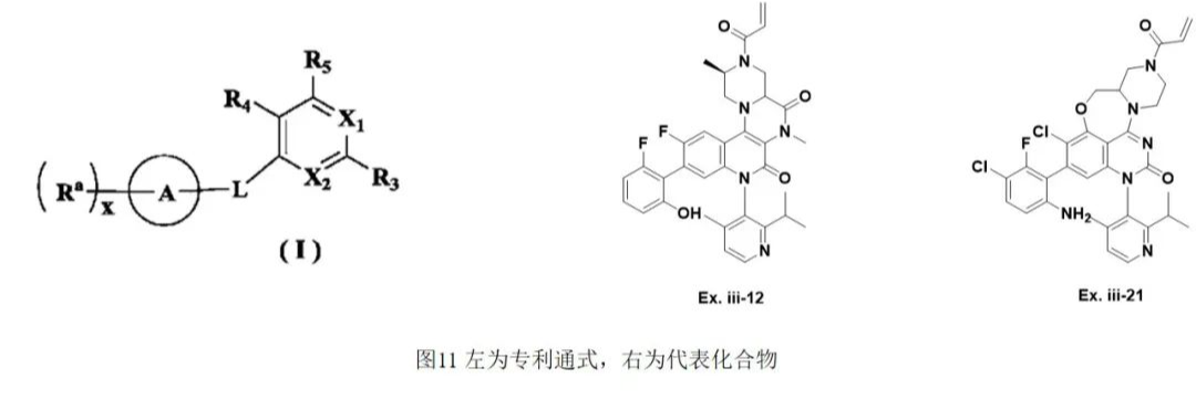 “窥探”各大名企的KRAS G12C专利：万变不离其宗，需谨防撞车