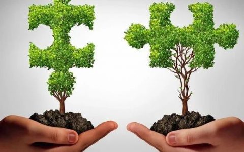 免疫疗法组合克服了冷肿瘤对双特异性T细胞衔接器治疗的抵抗