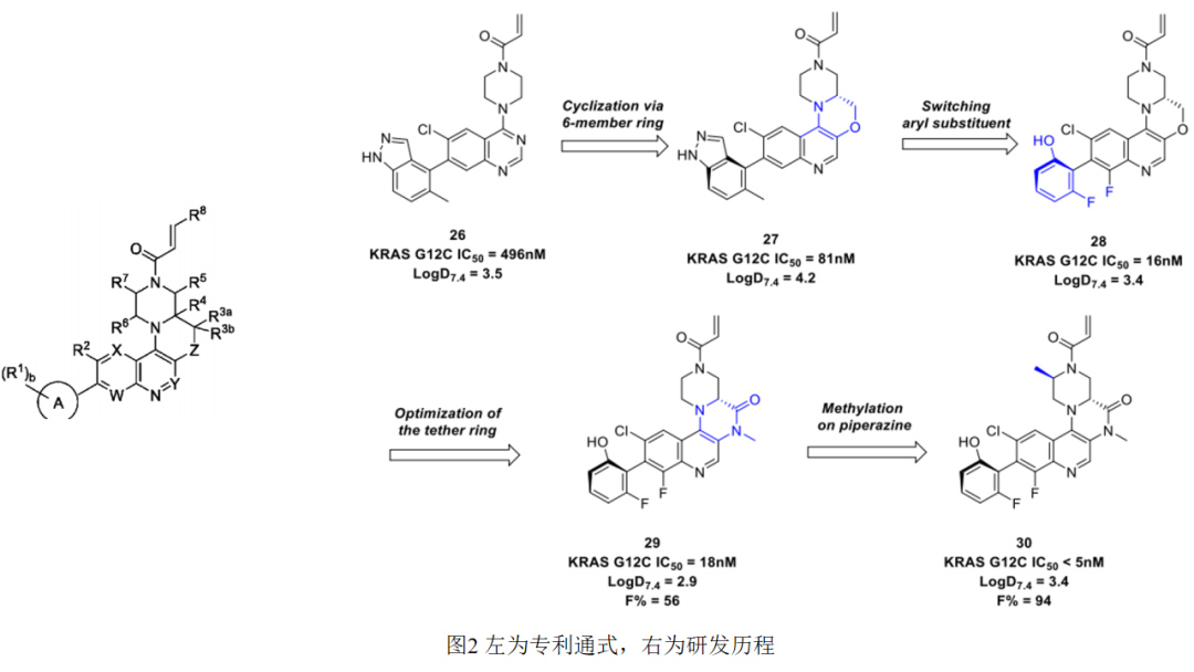 “窥探”各大名企的KRAS G12C专利：万变不离其宗，需谨防撞车