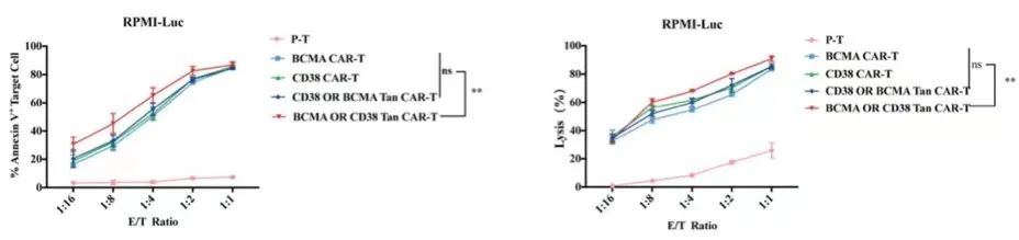 双靶点CAR-T细胞！