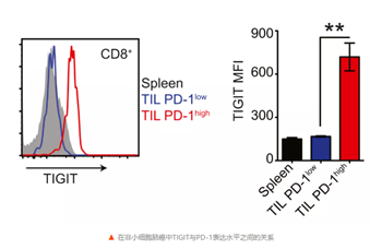 TIGIT利刃出鞘，免疫疗法耐药困局能否柳暗花明？