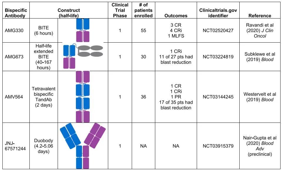 CD33靶向双特异性抗体的开发现状