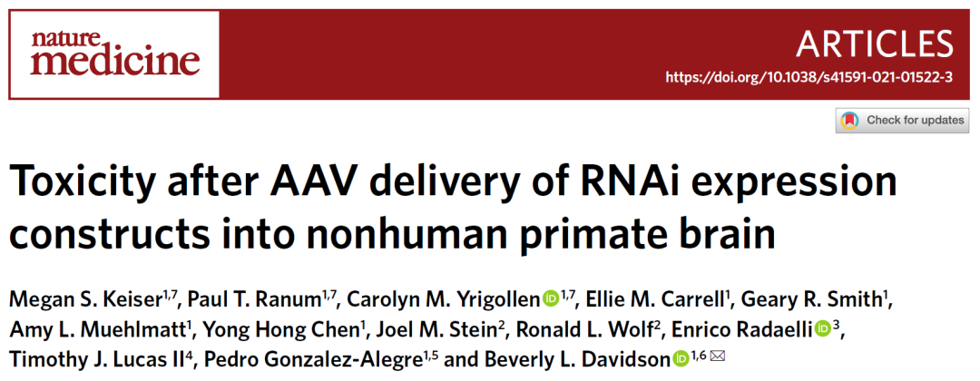 首次发现：AAV递送的RNAi疗法在非人灵长类脑中导致神经毒性