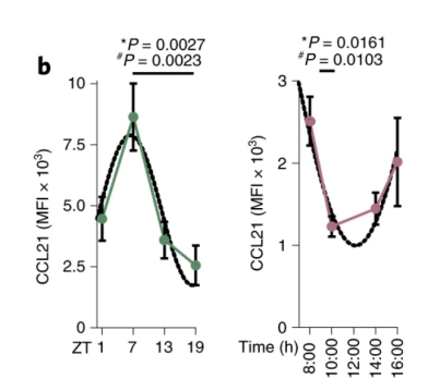 《Nature》子刊新发现：人的免疫也会随着昼夜节律波动！何时接受免疫治疗、何时接种疫苗都可能受其影响