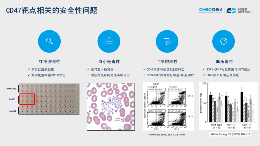 田文志博士谈CD47抗体研究进展与应用前景