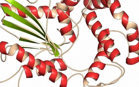 医药公司 | Arvinas—PROTAC技术先行者