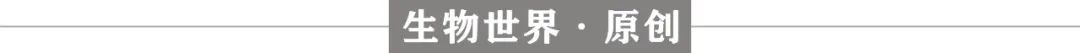 基因编辑的未来遭质疑，因严重安全问题，FDA暂停基于基因编辑的CAR-T临床试验