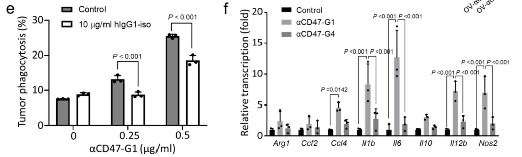 Nature子刊：溶瘤病毒+CD47，有望攻克最难治的胶质母细胞瘤