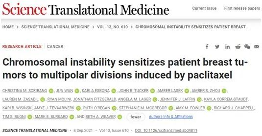 Science子刊：揭示紫杉醇抗癌新机制！染色体不稳定性的乳腺癌对紫杉醇敏感