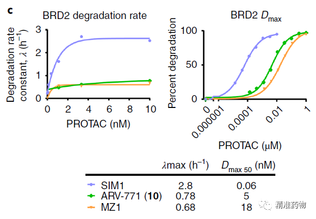 【Nature子刊】降解活性提高了300倍的一种三价PROTAC降解剂