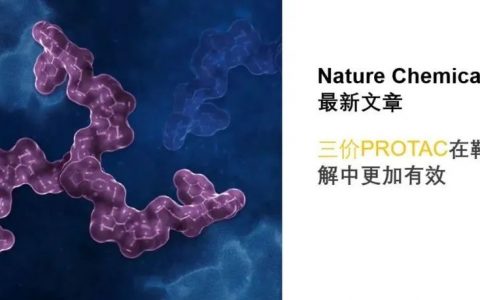 研究显示三价PROTAC在靶蛋白降解中更加有效