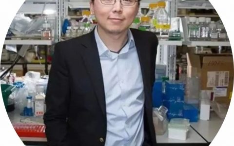 祝贺！张锋当选美国医学科学院院士，39岁已成四院院士