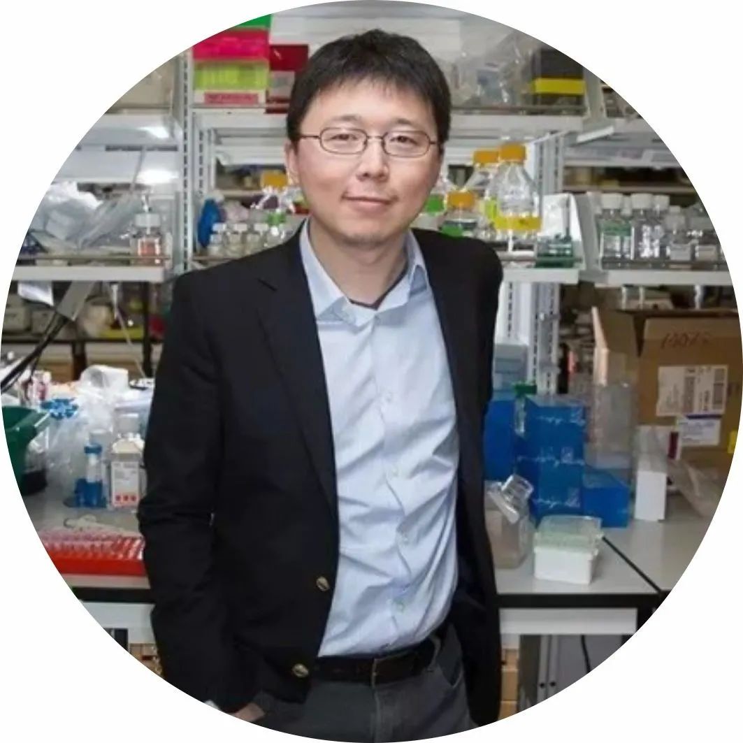 祝贺！张锋当选美国医学科学院院士，39岁已成四院院士 - 药时代DrugTimes