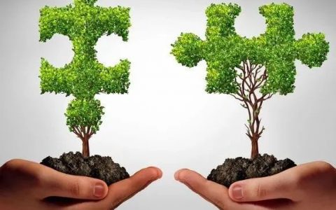聚焦药靶：一文尽览肿瘤免疫治疗分子CTLA-4的研究现状
