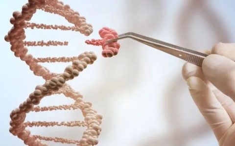 世界首例：基因编辑后的猪肾脏移植给人类，功能正常，未发生免疫排斥