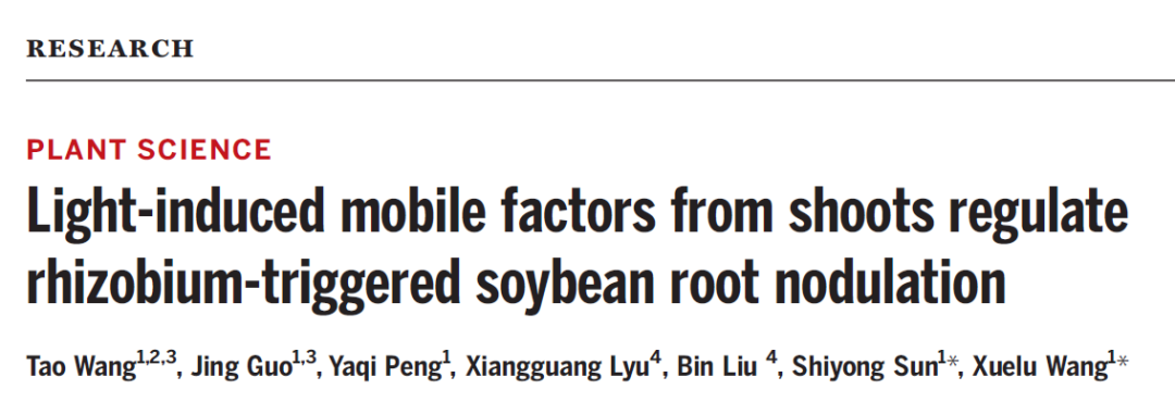 祝贺河南大学首次发表Science论文，在共生固氮领域取得重大突破！
