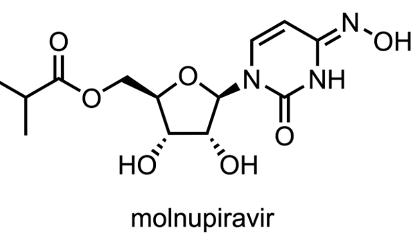 新冠病毒终结者？默沙东的新冠药物Molnupiravir到底有多大用？