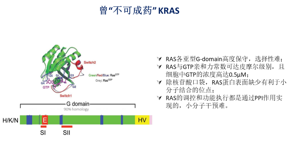 从不可成药到研发成果“井喷”，细说KRAS